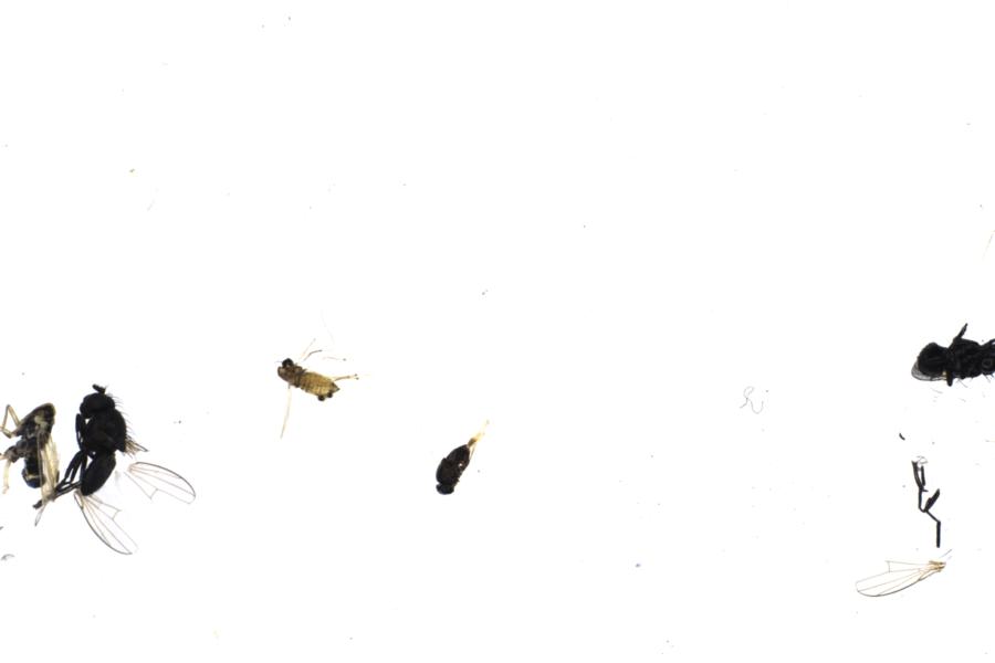 Image 109